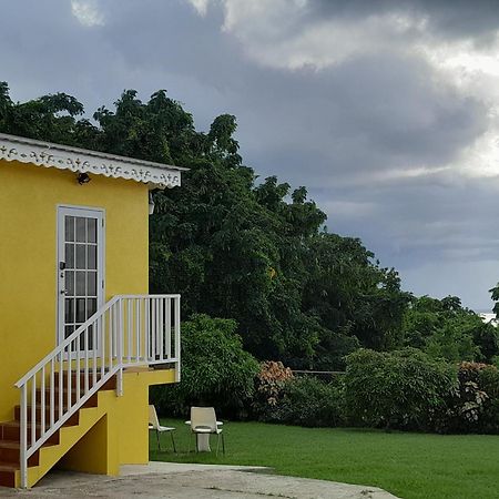 Apartamento Spectacular Ocean View Retreat Saint James Exterior foto