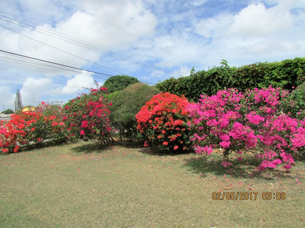 Apartamento Spectacular Ocean View Retreat Saint James Exterior foto